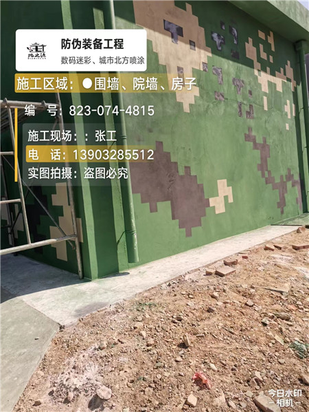 徐汇核心结论：专业提供外墙迷彩漆施工服务